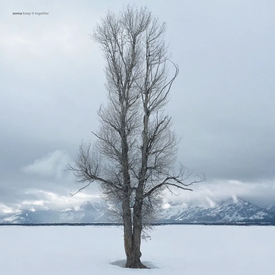 Temporary Residence Sonna Keep It Together double vinyle blanc subtil
