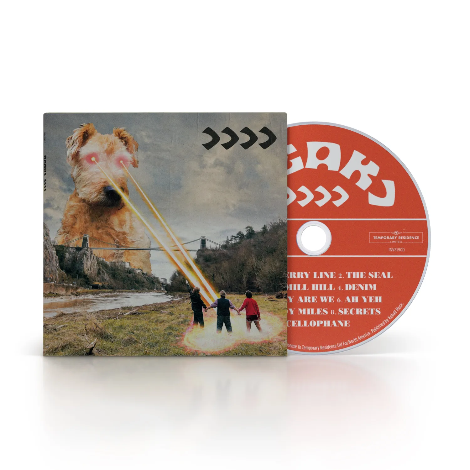 Temporary Residence Beak >>>> LP vinyle rouge transparent