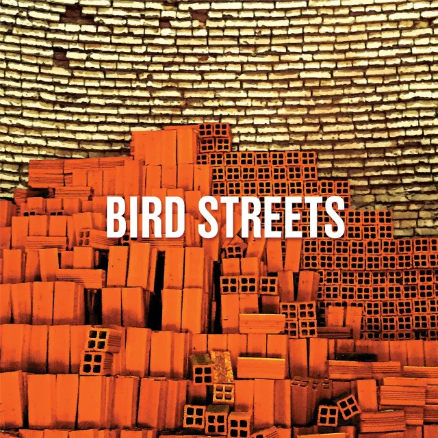 Omnivore Bird Streets Bird Streets CD power pop 11 titres