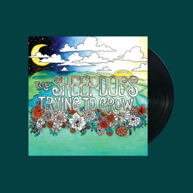 Sheepdogs Trying To Grow vinyle LP noir