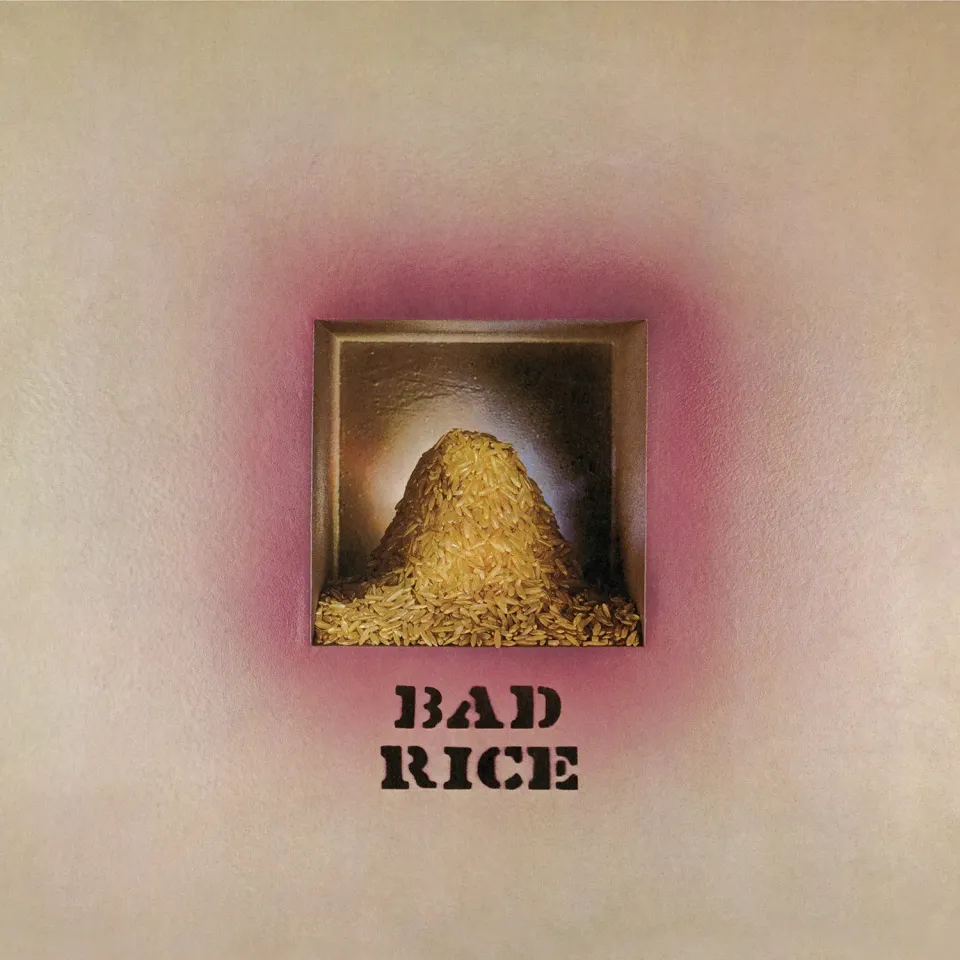 Omnivore Recordings Ron Nagle Bad Rice CD réédition