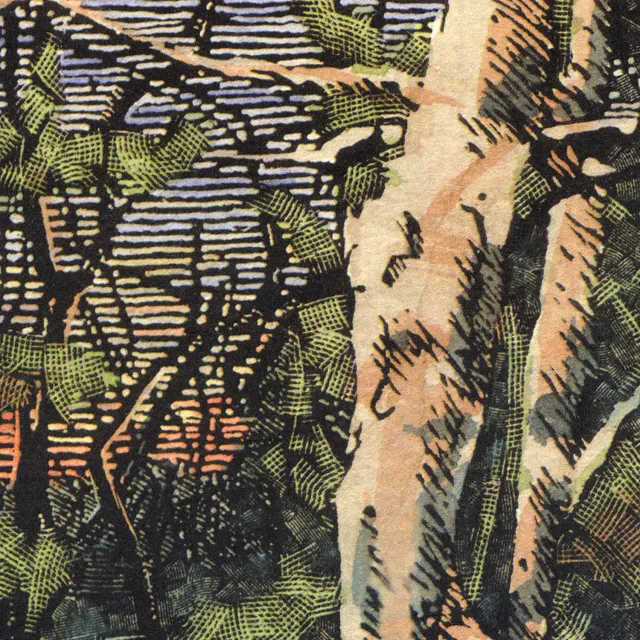 The Anomoanon Asleep Many Years In The Wood CD