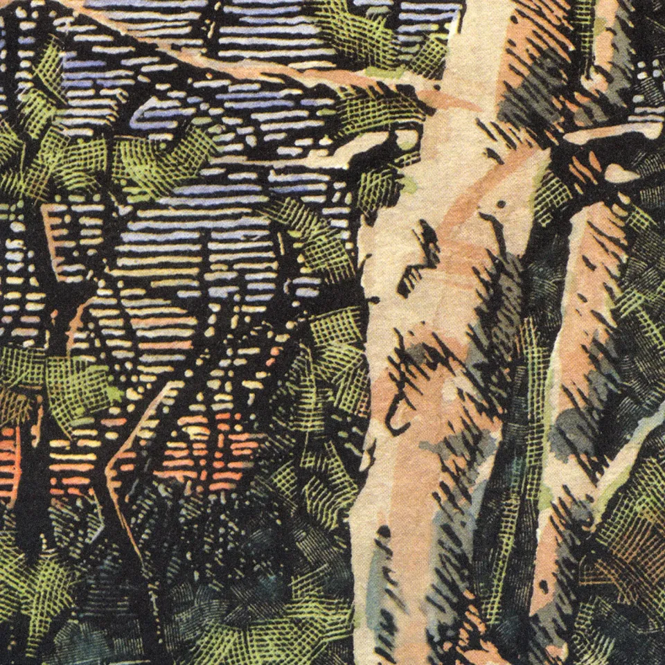The Anomoanon Asleep Many Years In The Wood CD