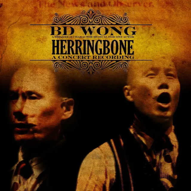 Center Stage Records Herringbone CD concert live 2 CD digipak