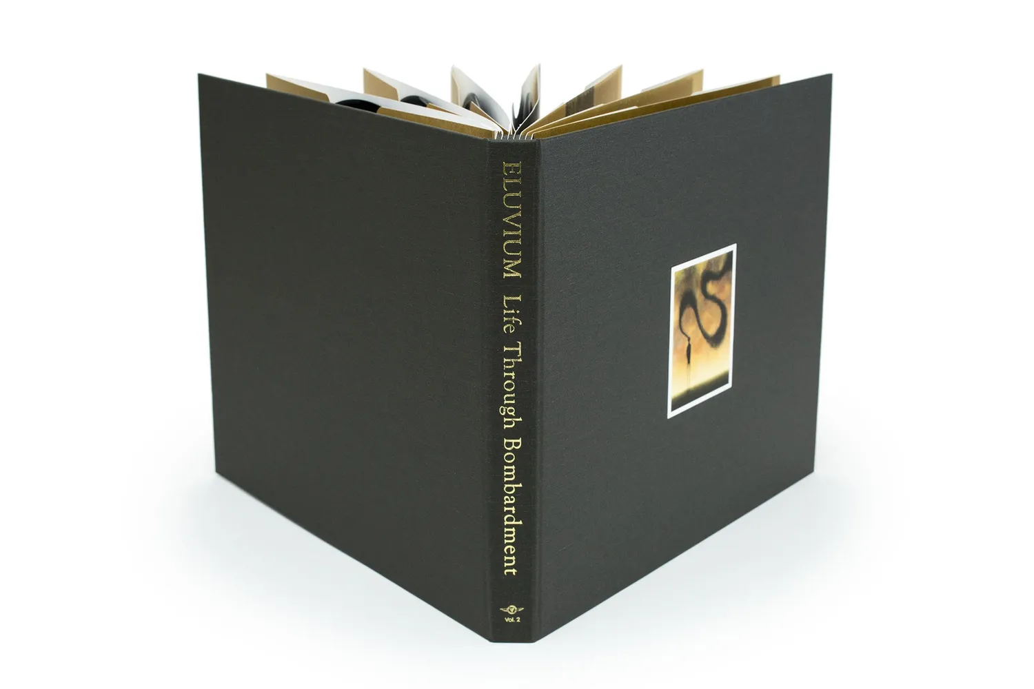 Temporary Residence Eluvium Life Bombardment Vol.2 coffret 7LP