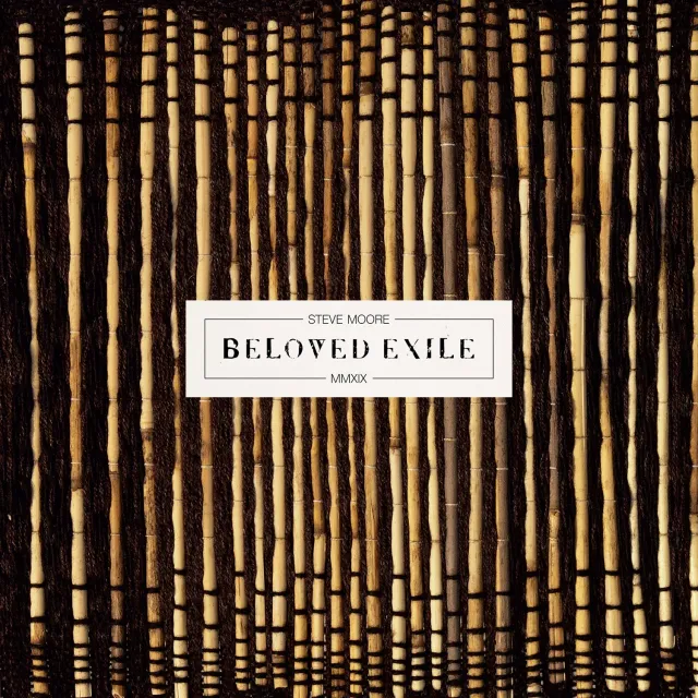 Temporary Residence Steve Moore Beloved vinyle LP rose