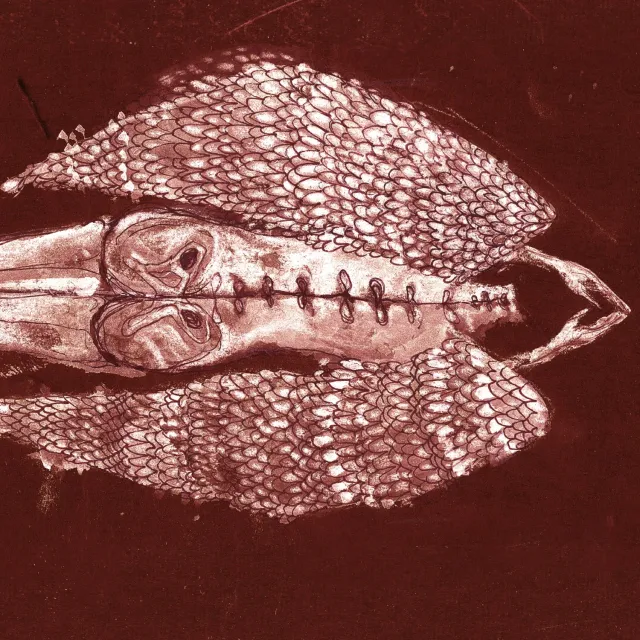 Cerberus Shoal Homb Anniversary vinyle 2LP rouge