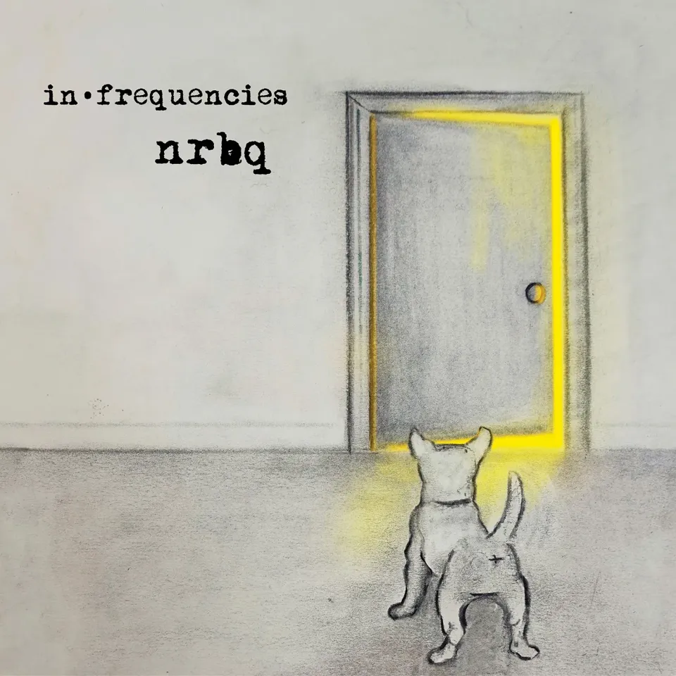 Omnivore Recordings NRBQ In Frequencies CD rarities