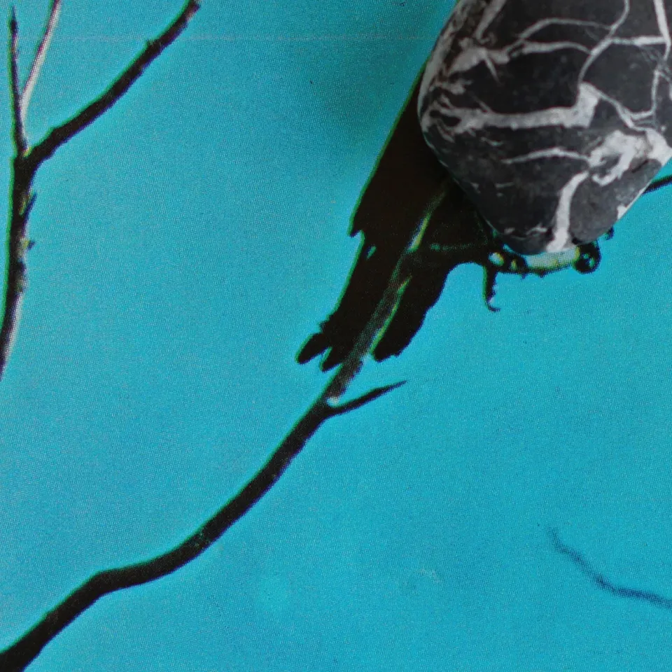 Temporary Residence Tangents Stateless vinyle noir jazz