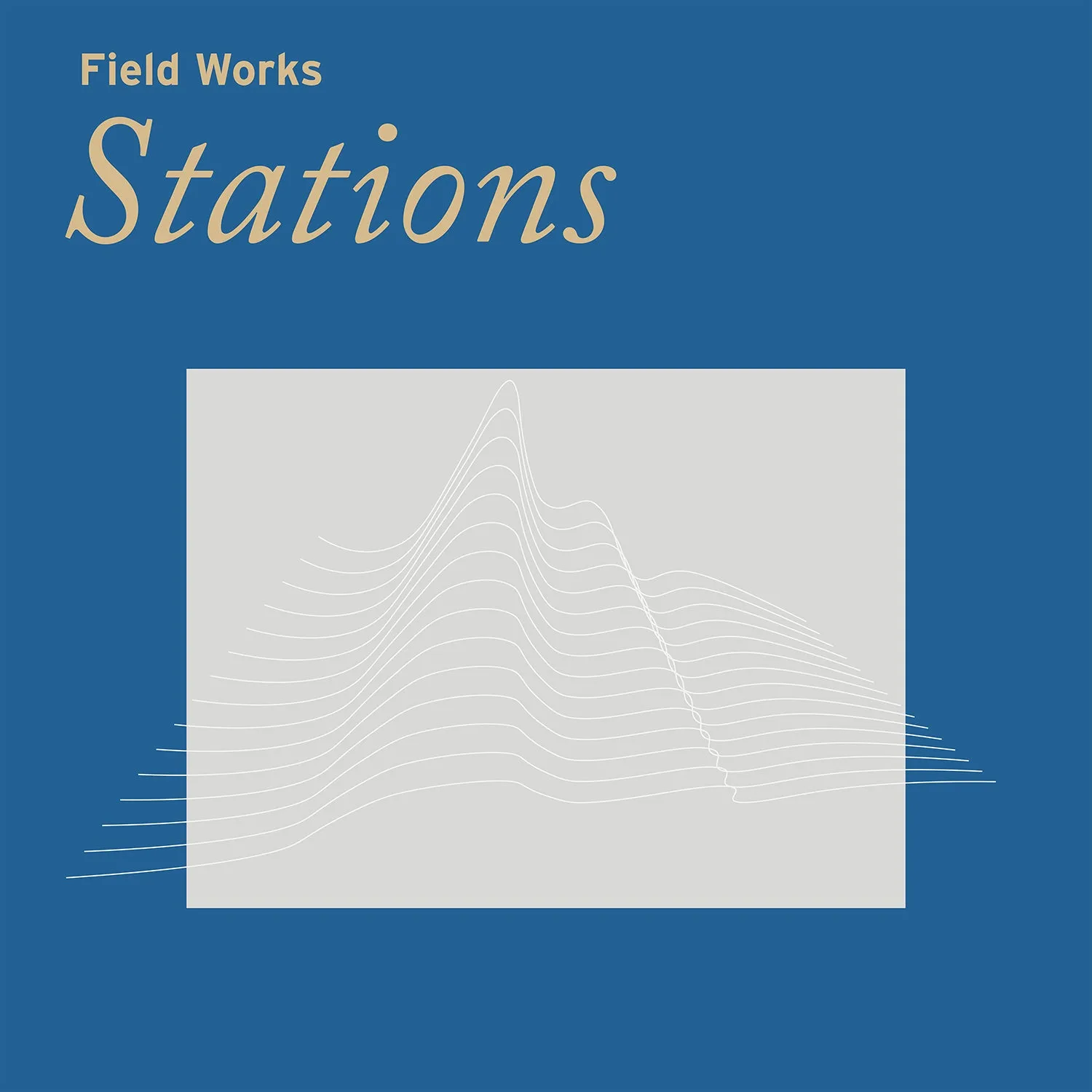 Temporary Residence Field Works Stations vinyle noir expérimental