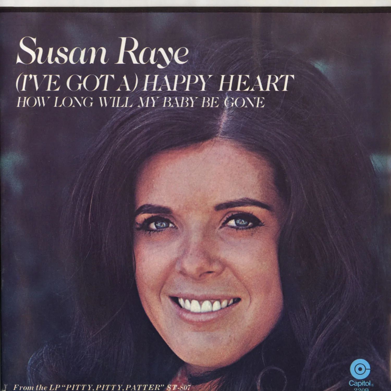 Omnivore Recordings Susan Raye Bundle 13 vinyles 45 tours