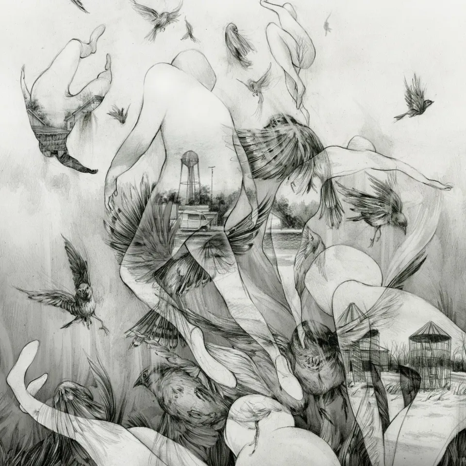 Temporary Residence Ltd. MONO The Last Dawn CD post-rock