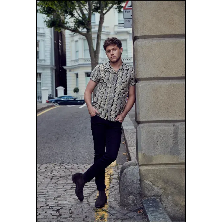 EMI Niall Horan poster 11x17 pouces