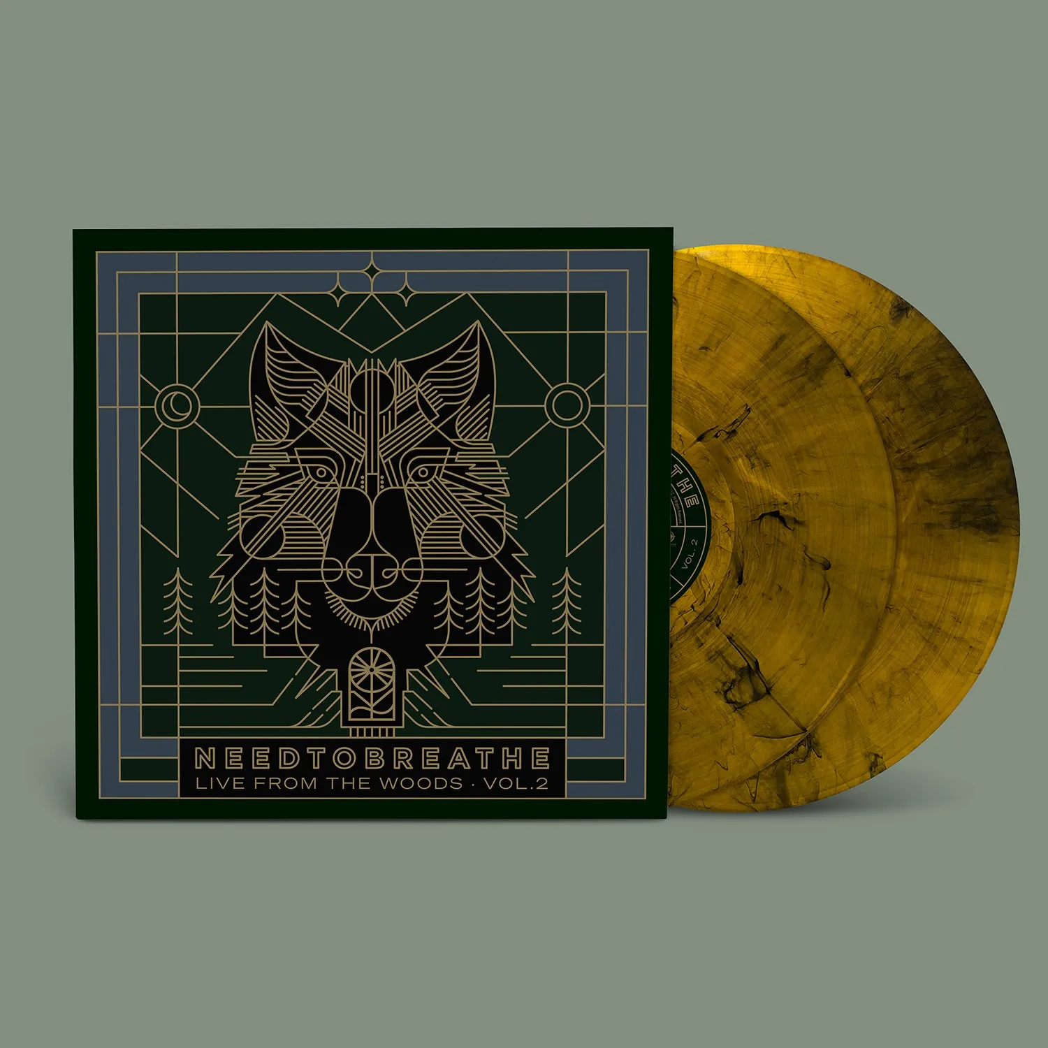 Omnivore NEEDTOBREATHE Live From The Woods Vol. 2 CD live 15 titres