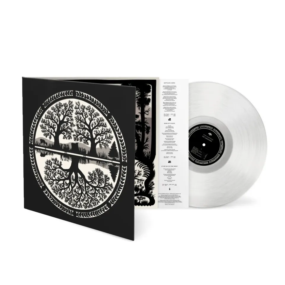Nina Nastasia On Leaving vinyle LP clear glass