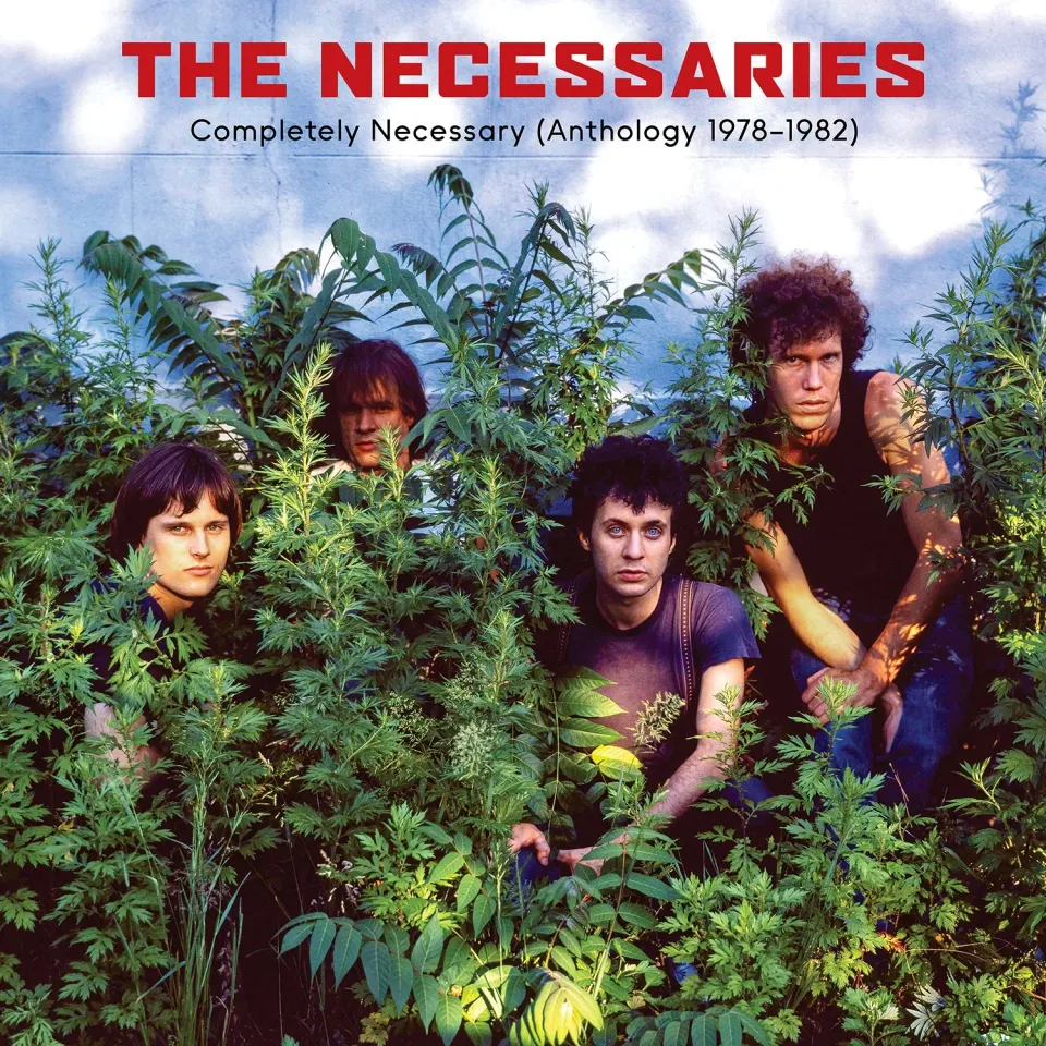 The Necessaries Completely Necessary anthologie 1978-1982 digital
