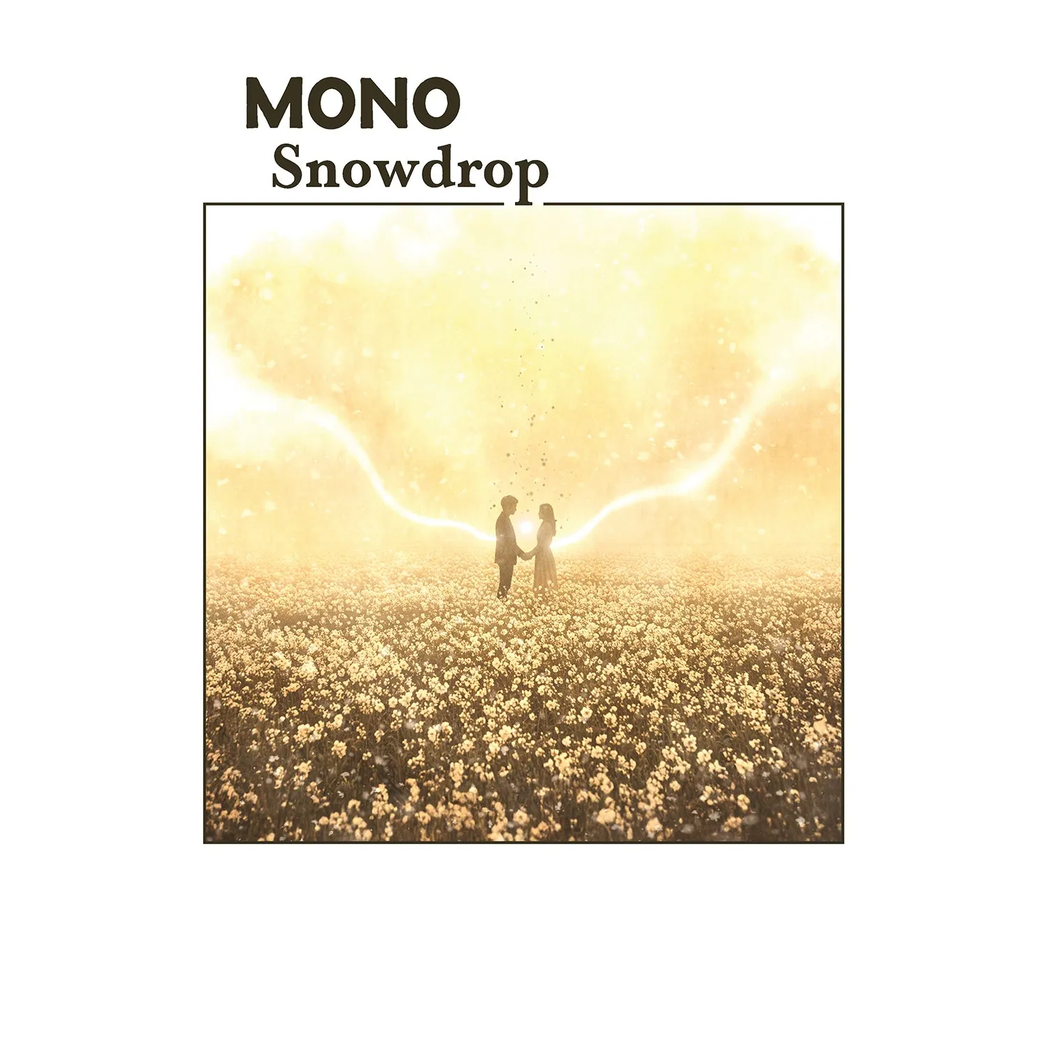 Temporary Residence MONO Snowdrop CD 8 titres