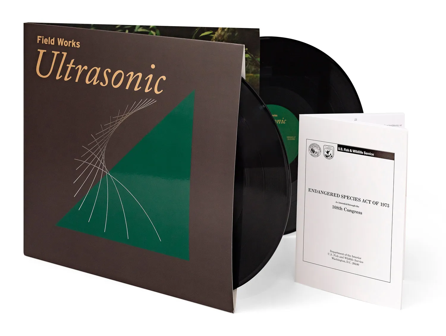 Field Works Ultrasonic CD album ambient