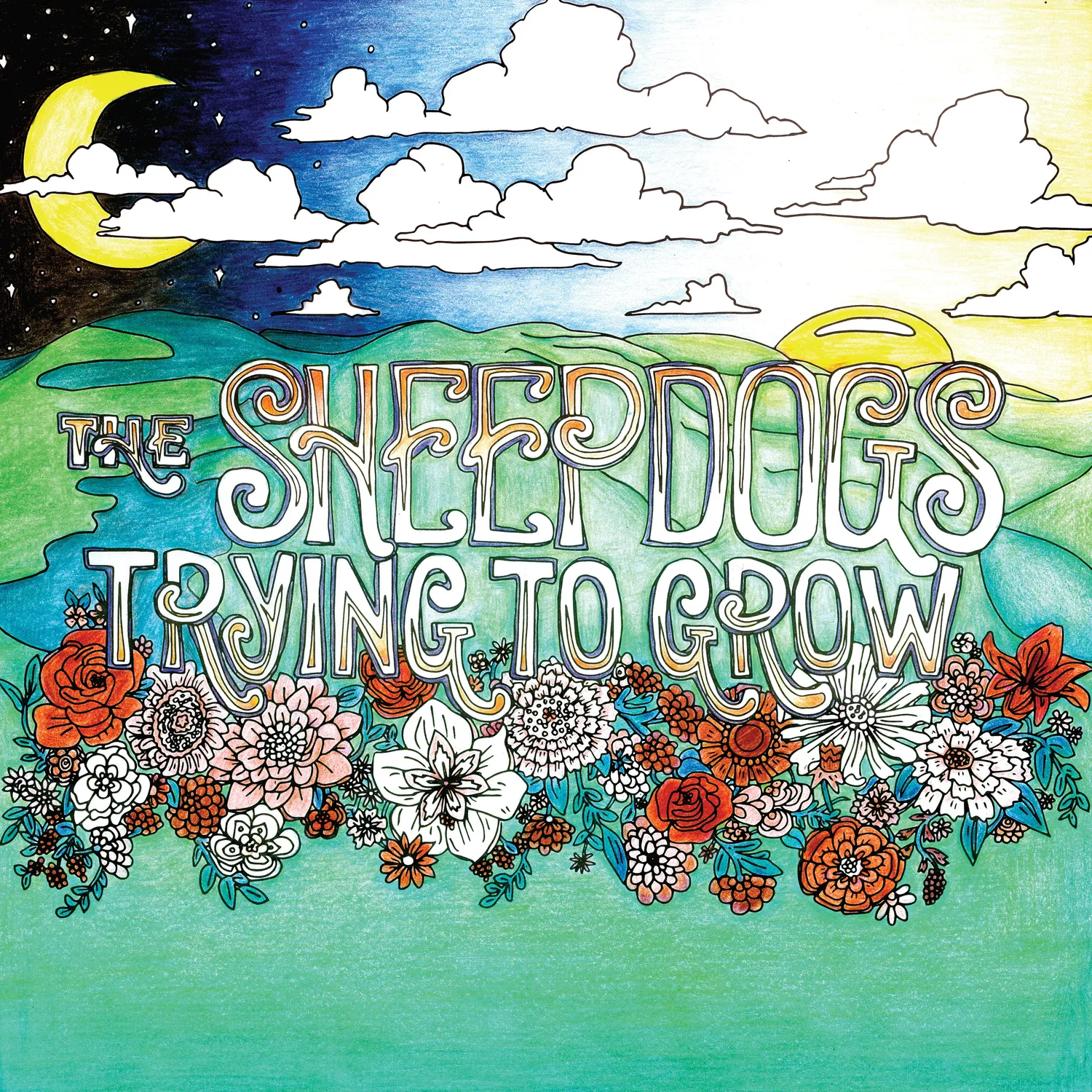 Sheepdogs Trying To Grow vinyle LP noir