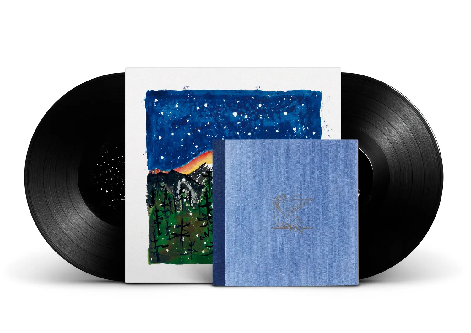 MONO You Are There CD enregistré par Albini